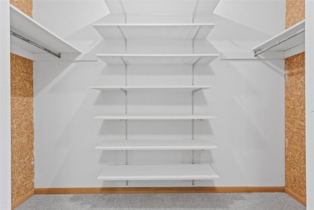 1082 N Boundary, Cranberry Twp, PA 16066 - spacious closet featuring carpet
