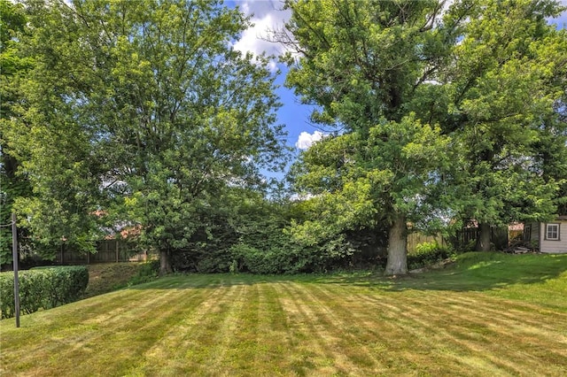 1919 Outlook Dr, Penn Hills, PA 15147 - view of yard