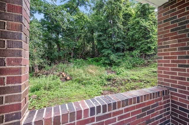1462 Elm St, Wilkinsburg, PA 15221 - view of yard