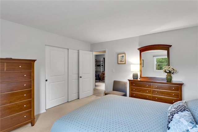 2899 E Elfinwild Rd, Hampton, PA 15101 - bedroom featuring light colored carpet and a closet