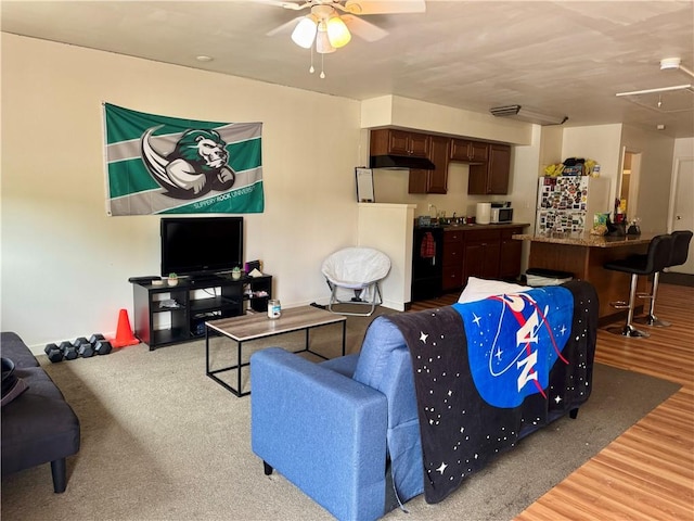250 E Water St, Slippery Rock Boro, PA 16057 - living room with attic access, ceiling fan, wood finished floors, and bar