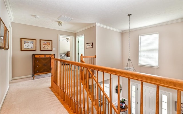 489 Jenny Dr, Richland, PA 15044 - hallway featuring an upstairs landing, crown molding, light carpet, and a textured ceiling