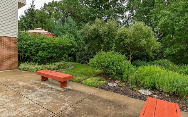 489 Jenny Dr, Richland, PA 15044 - view of patio