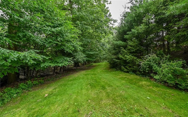 489 Jenny Dr, Richland, PA 15044 - view of grassy yard
