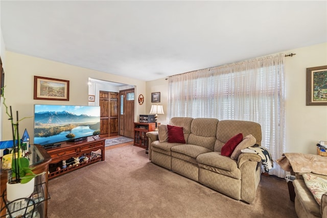 982 Braddock Rd, Forest Hills Boro, PA 15221 - living area featuring carpet