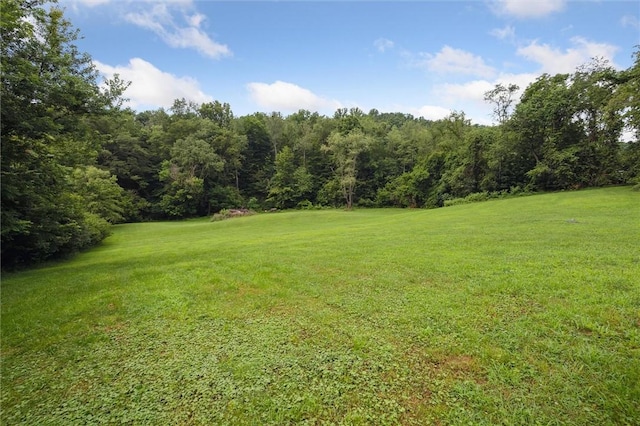 4 Ward St, Canton Twp, PA 15301 - view of green lawn with a view of trees