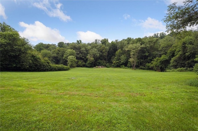 4 Ward St, Canton Twp, PA 15301 - view of grassy yard