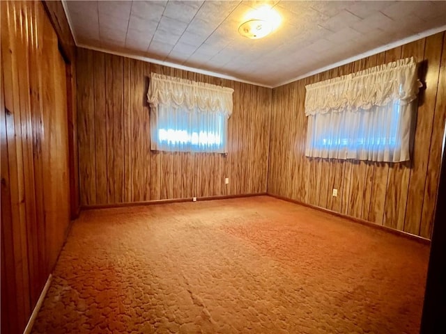 229 Fallowfield Ave, Charleroi Boro, PA 15022 - unfurnished room featuring wood walls and carpet flooring