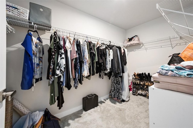 329 Nelson Dr, Monroeville, PA 15146 - walk in closet featuring carpet