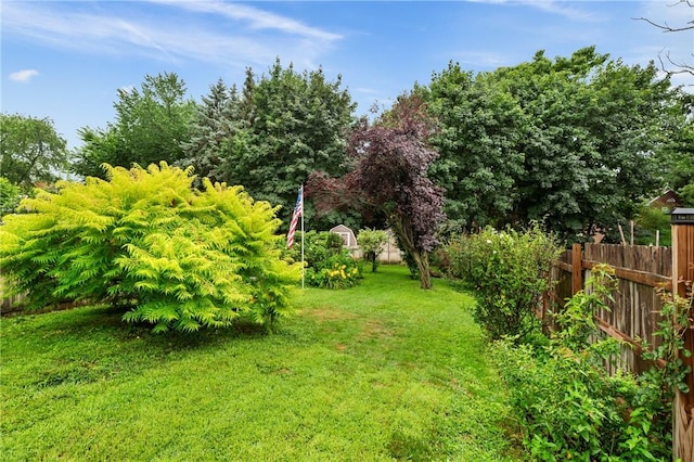 1477 Benton Ave, Brighton Heights, PA 15212 - view of yard