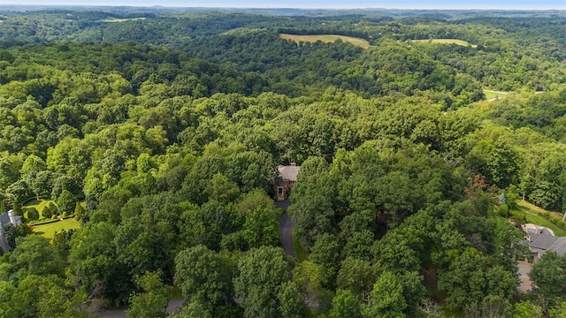 6 Winterberry Ln, Sewickley Heights, PA 15143 - photo 50