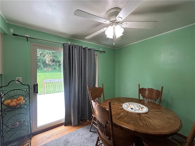 776 Cottonwood Dr, Monroeville, PA 15146 - photo 18