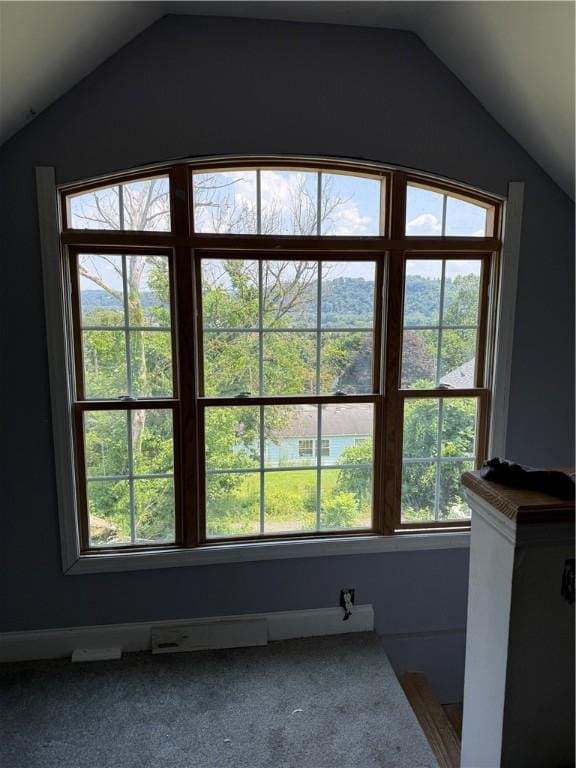 1119 Stewart St, Tarentum, PA 15084 - detailed view of carpet flooring