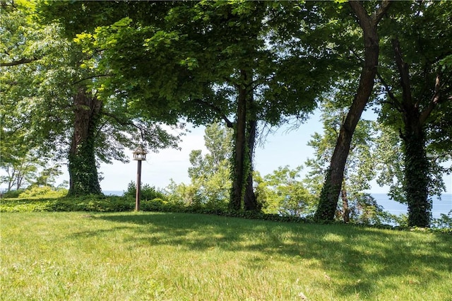 8410 Windsor Beach Ct, Harborcreek Twp, PA 16511 - view of local wilderness