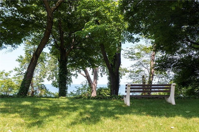 8410 Windsor Beach Ct, Harborcreek Twp, PA 16511 - view of community featuring a yard