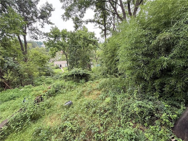 1336 Complete St, Marshall Shadeland, PA 15212 - view of nature