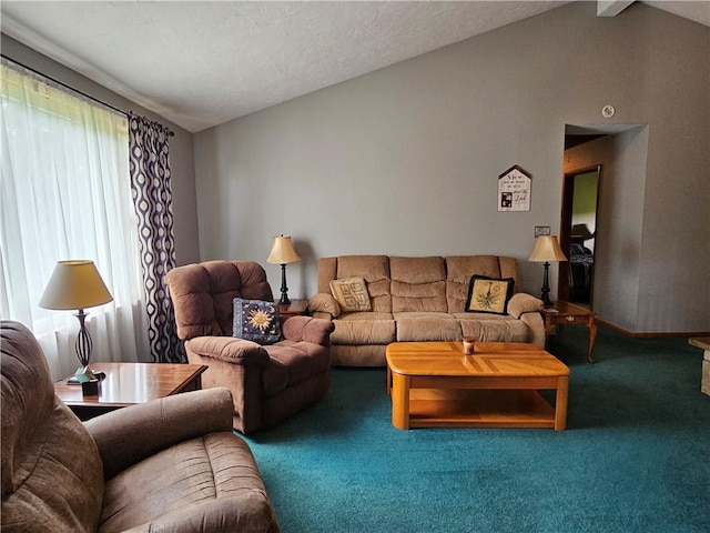 323 Hoon Rd, Oakland Twp, PA 16001 - living area featuring carpet floors, vaulted ceiling, and a textured ceiling