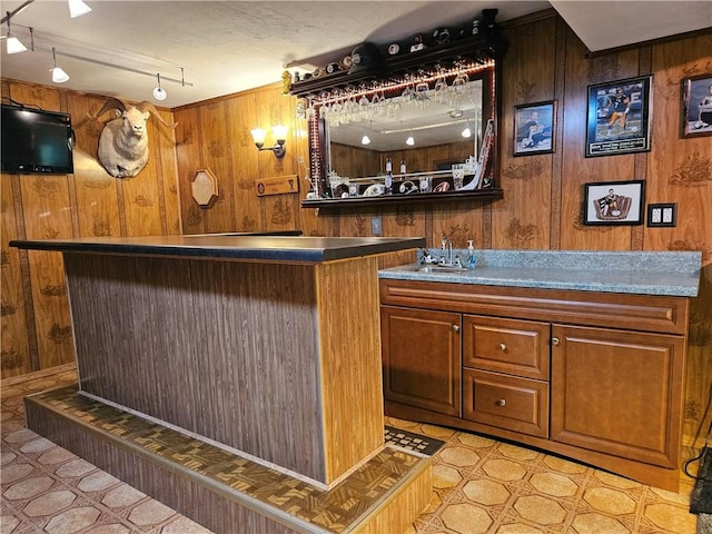 323 Hoon Rd, Oakland Twp, PA 16001 - indoor wet bar with wooden walls