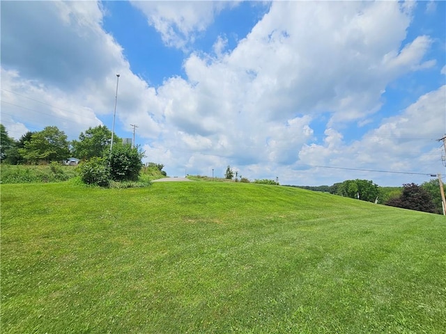 323 Hoon Rd, Oakland Twp, PA 16001 - view of green lawn