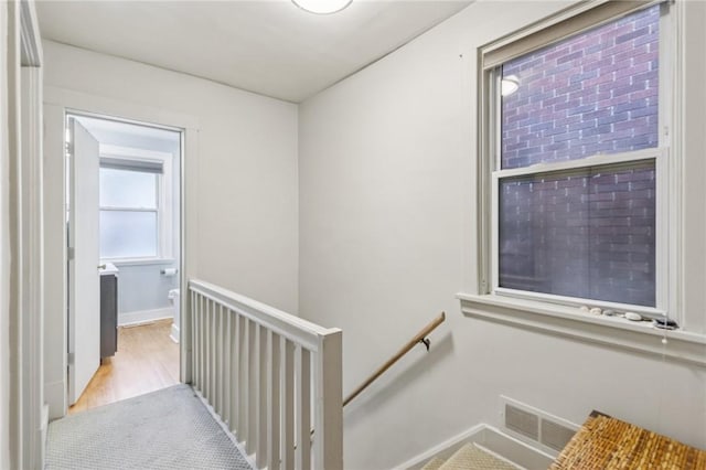 6414 Landview, Squirrel Hill, PA 15217 - photo 24