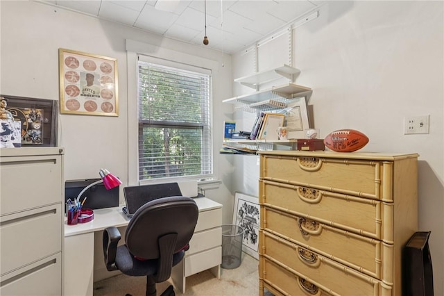 6414 Landview, Squirrel Hill, PA 15217 - photo 31
