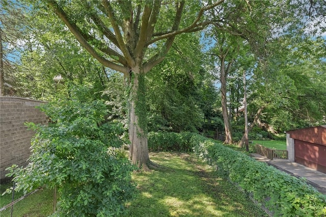 6414 Landview, Squirrel Hill, PA 15217 - photo 40