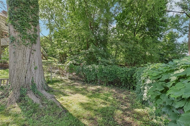 6414 Landview, Squirrel Hill, PA 15217 - photo 46