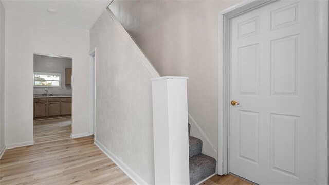 101 Lincoln Ave, Leechburg Boro, PA 15656 - photo 15