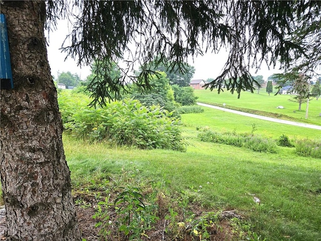 246 Strangford Rd, Blairsville Area, PA 15717 - photo 38