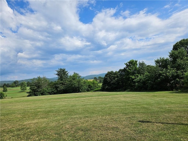 246 Strangford Rd, Blairsville Area, PA 15717 - photo 3