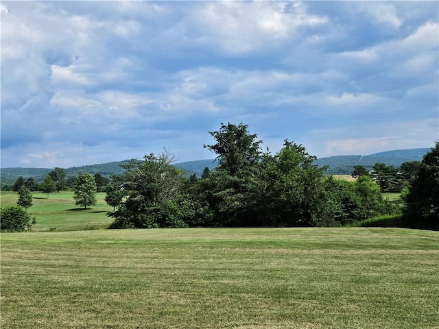 246 Strangford Rd, Blairsville Area, PA 15717 - photo 5