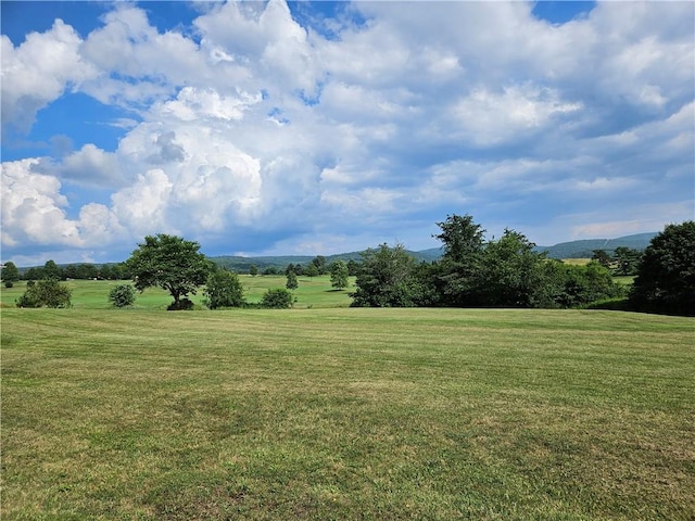 246 Strangford Rd, Blairsville Area, PA 15717 - photo 41