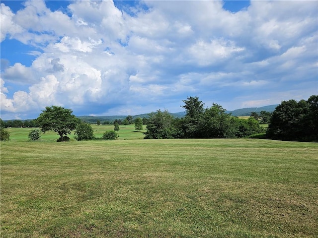 246 Strangford Rd, Blairsville Area, PA 15717 - photo 42