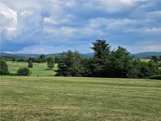 246 Strangford Rd, Blairsville Area, PA 15717 - photo 43