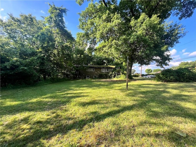 1560 Oneida Dr, Jefferson Hills, PA 15025 - view of green lawn
