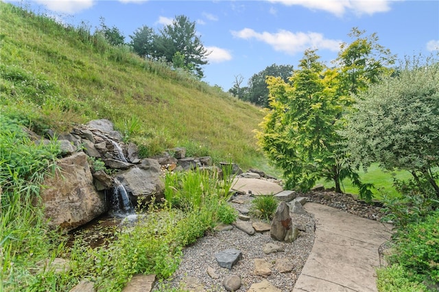 3111 Edelweiss Ct Ste 201, Adams Twp, PA 16046 - view of yard