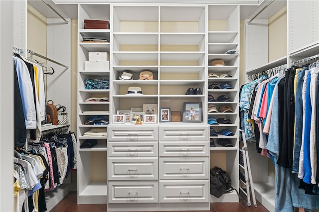 3111 Edelweiss Ct Ste 201, Adams Twp, PA 16046 - spacious closet with dark wood finished floors