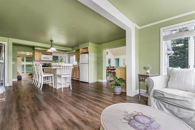 115 Nursery Rd, Forward Twp, PA 16053 - living room with dark wood-type flooring and crown molding