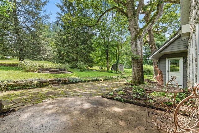 115 Nursery Rd, Forward Twp, PA 16053 - view of grassy yard with a patio area and view of scattered trees