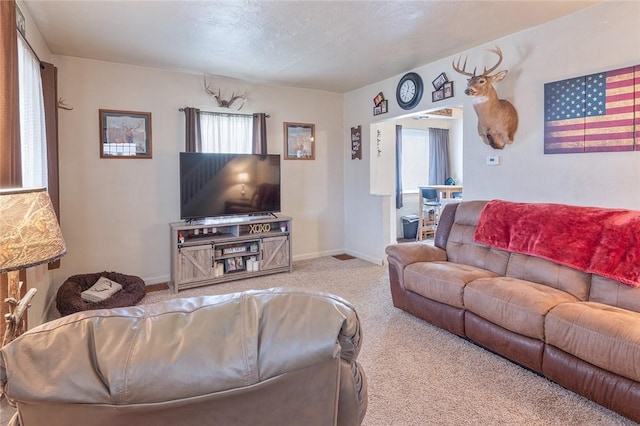 2913 Willett Rd, Brentwood, PA 15227 - living room featuring carpet and baseboards
