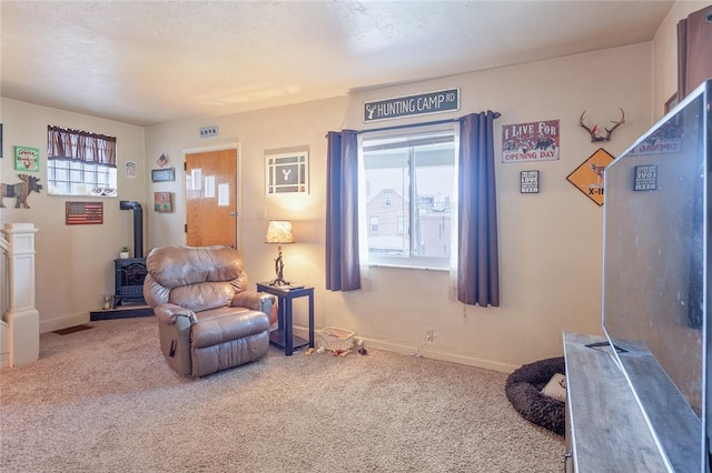 2913 Willett Rd, Brentwood, PA 15227 - living area featuring a wood stove and carpet