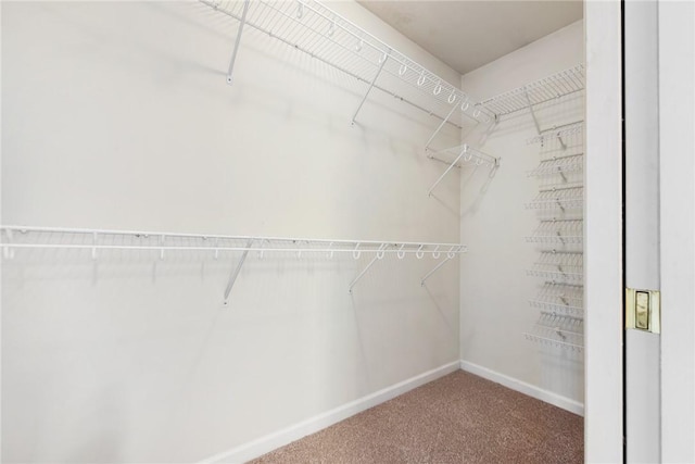 538 Bluegrass Dr, Canonsburg, PA 15317 - spacious closet with carpet flooring