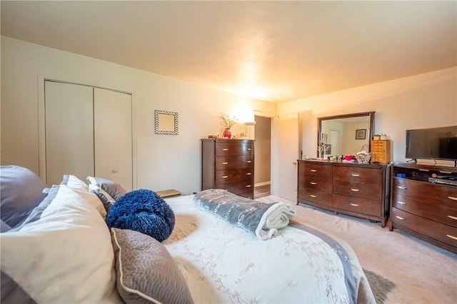 43 Dover Rd, Penn Twp, PA 15642 - bedroom featuring light colored carpet and a closet