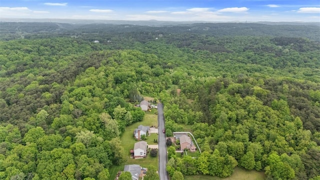 1544 Eldorado Dr, Hopewell Twp, PA 15001 - bird's eye view of a forest
