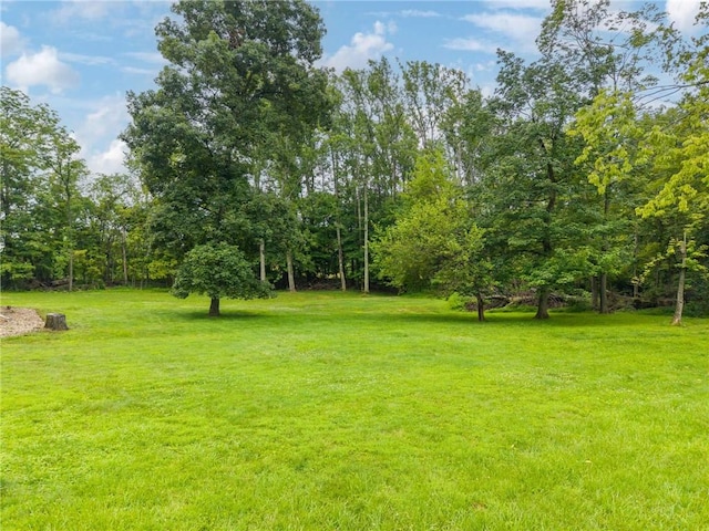 110 Four Seasons Ln, Irwin, PA 15642 - view of grassy yard