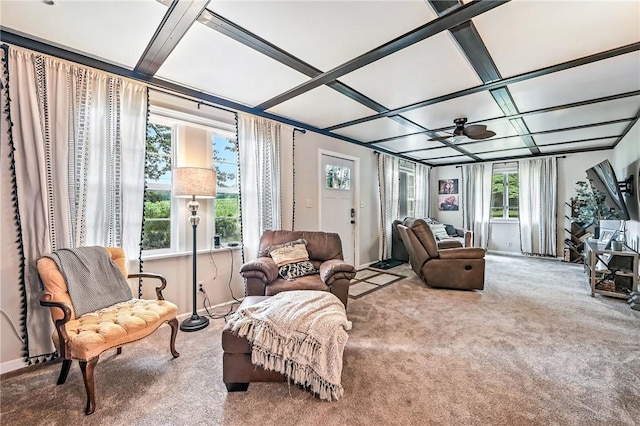 2725 N Neshannock Rd, Sharpsville, PA 16150 - sunroom / solarium featuring carpet flooring and coffered ceiling