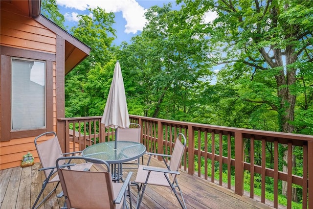 4704 Swiss Mountain Dr, Seven Springs Resort, PA 15622 - photo 26