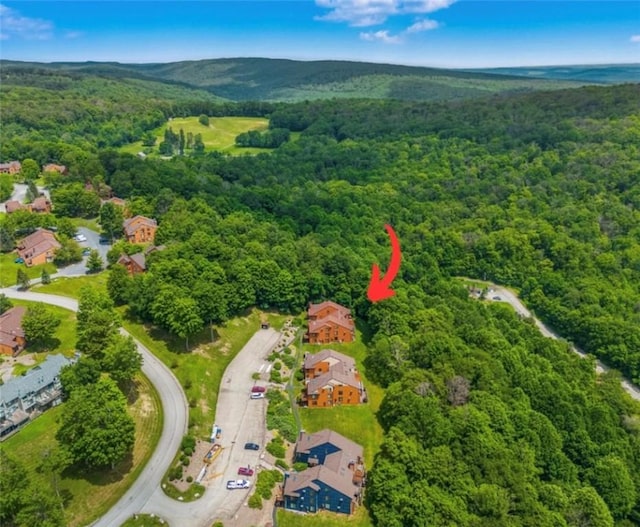 4704 Swiss Mountain Dr, Seven Springs Resort, PA 15622 - photo 32