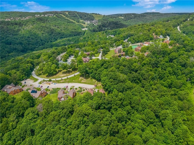 4704 Swiss Mountain Dr, Seven Springs Resort, PA 15622 - photo 34