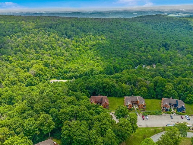 4704 Swiss Mountain Dr, Seven Springs Resort, PA 15622 - photo 36
